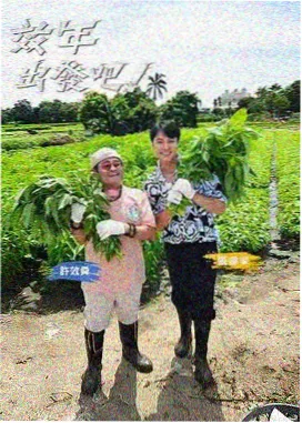 双生镜榜单封面